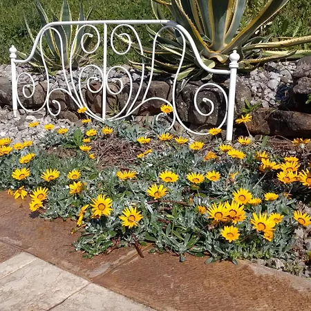Vacanze Nel Cilento Stella Del Cilento Bed & Breakfast Agropoli