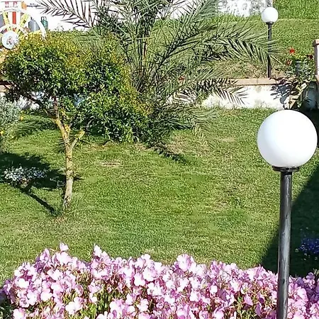 Vacanze Nel Cilento Stella Del Cilento *